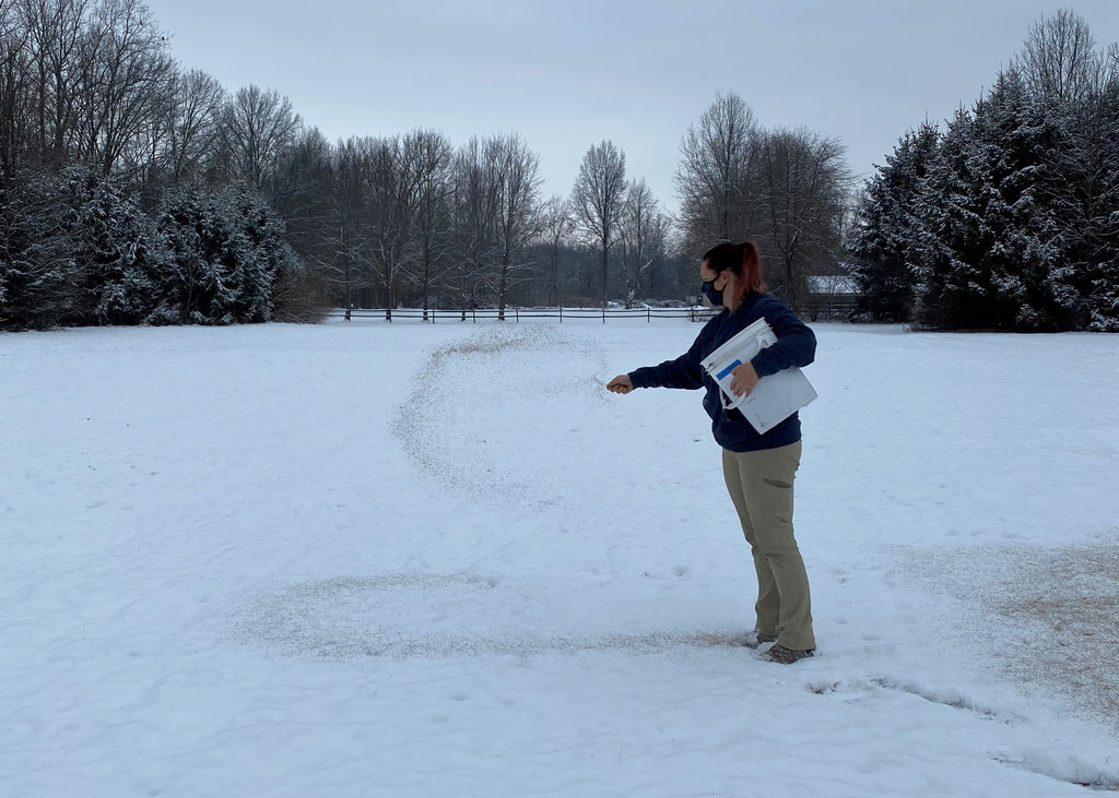 Snow Seeding