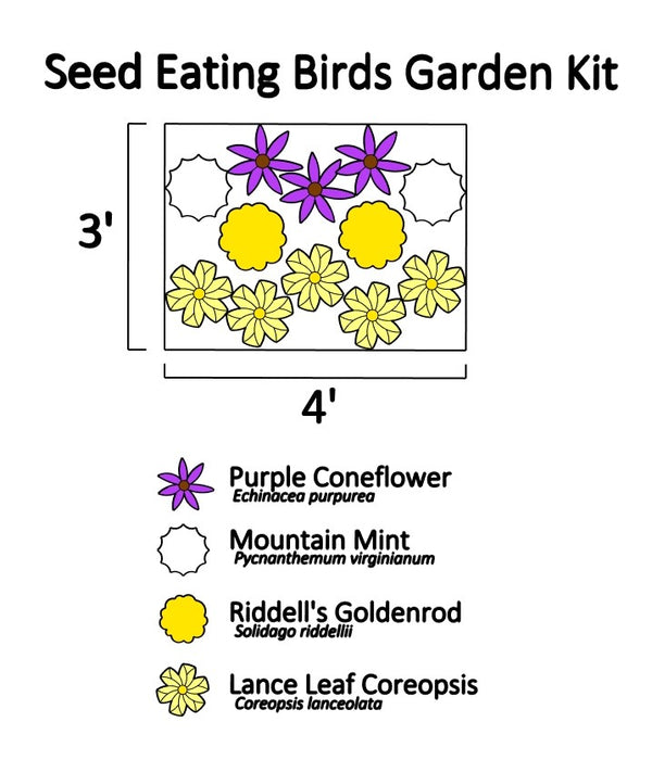 Seed Eating Birds Garden Kit