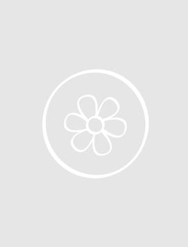 Slender Bush Clover