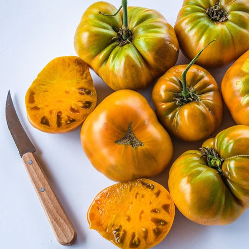 Photo credit: rareseeds.com