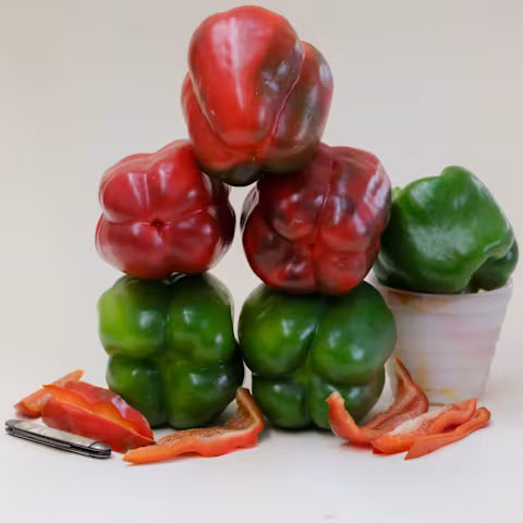 Pepper 'Bull Nose'