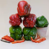 Pepper 'Bull Nose'