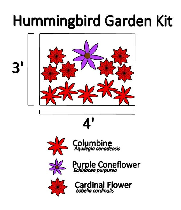 Hummingbird Garden Kit