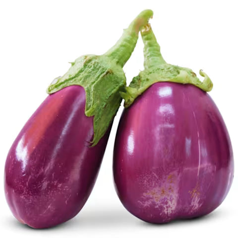 Eggplant 'Rosita'