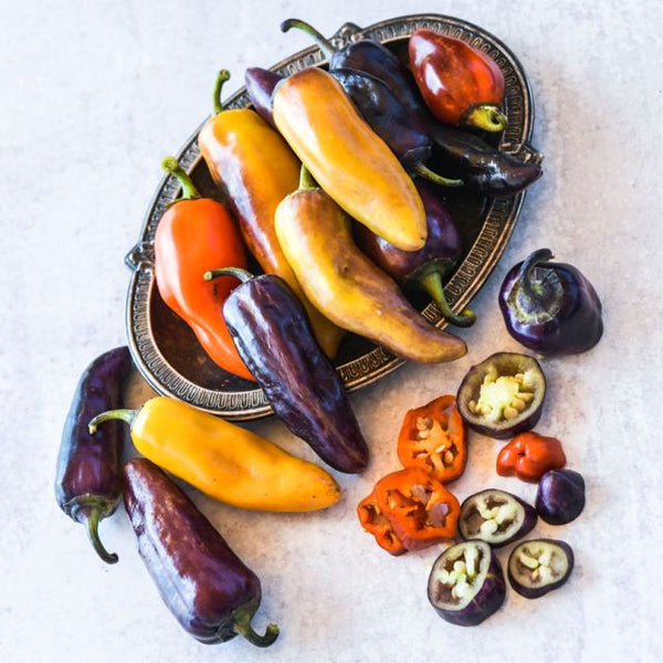 Pepper 'Pippin's Golden Honey'