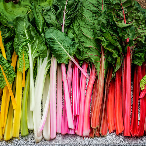 Swiss Chard '5 Color Mix'
