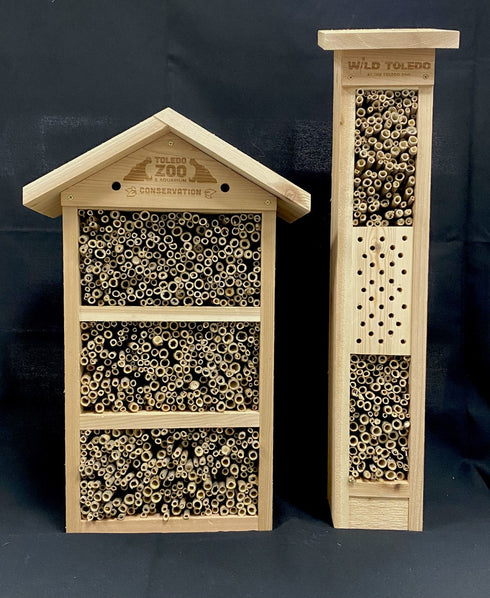 Native Bee Nesting Box