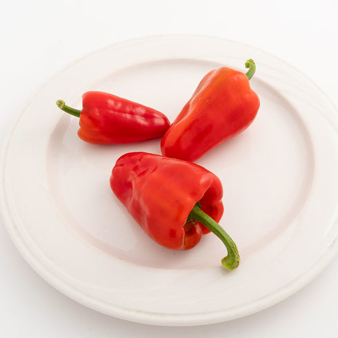 Pepper 'Leutschauer Paprika'