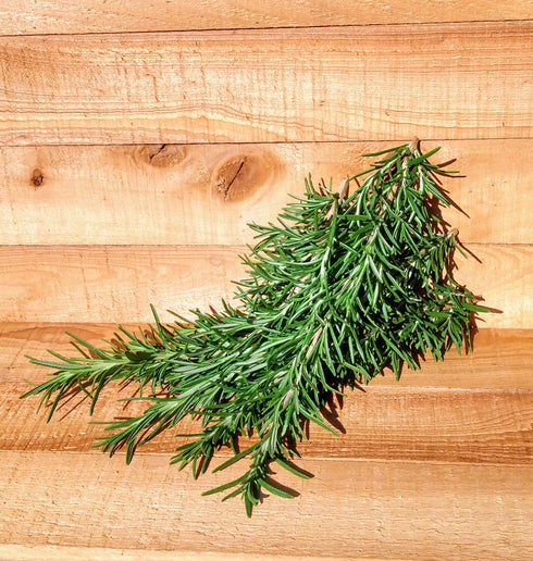 Rosemary