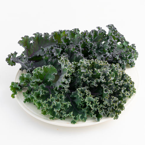 Kale 'Scarlet'
