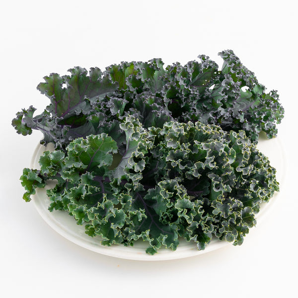 Kale 'Scarlet'