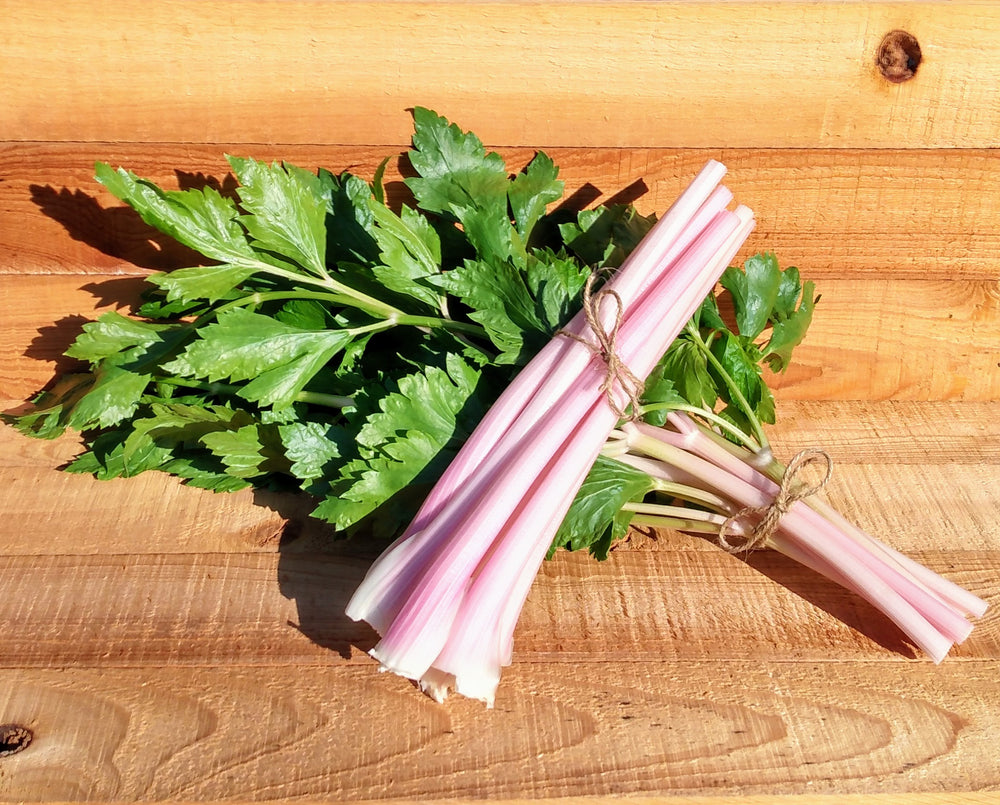 Celery 'Chinese Pink'